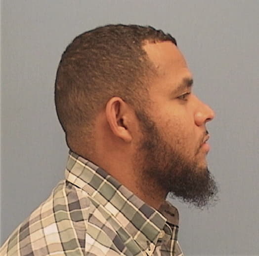 DAVID-VICENTY, ERNESTO, Kane County  IL