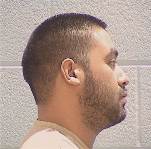 VILLALOBOS, RAFAEL, Cook County  IL