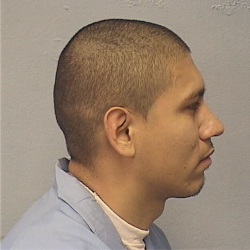 YBARRA, MARTIN, Cook County  IL