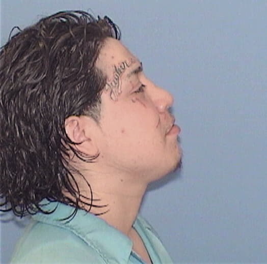 FLORES, ERIC, Cook County  IL