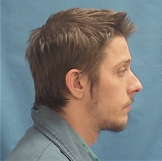 FOUNTAS, NICHOLAS J., Cook County  IL