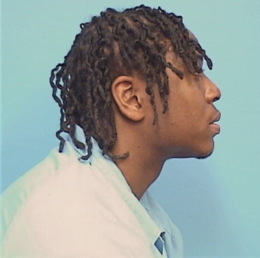YOUNG, AKEIM G., Cook County  IL