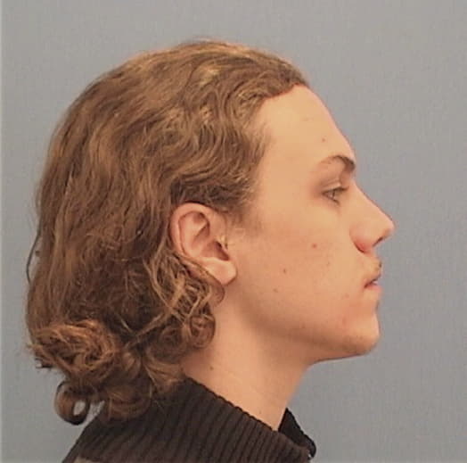 PETERSON, NICHOLAS K., Ogle County  IL