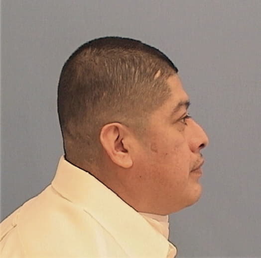 ALVARES, GUADALUPE, Cook County  IL