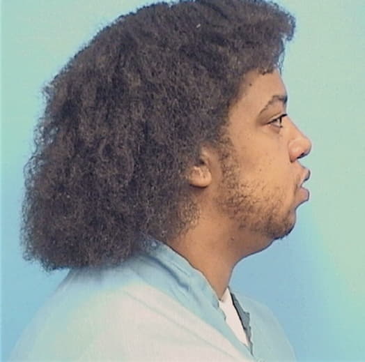 BROWN, DYLAN, Winnebago County  IL