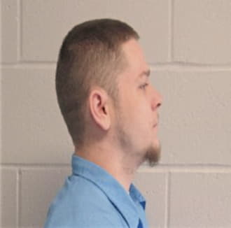 DIPPEL-ARNDT, MICHAEL A., Macon County  IL