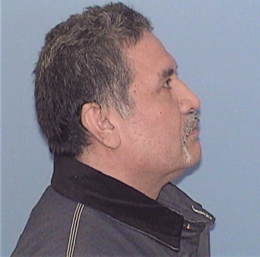 NAVARRETE, HINIGO, Cook County  IL