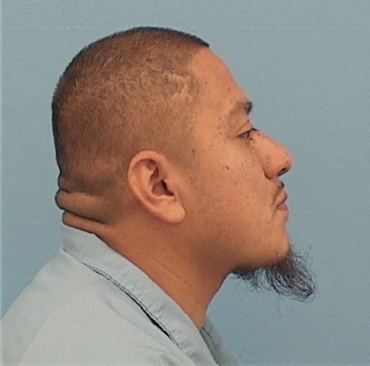 BANUELOS, CELESTINO, Cook County  IL