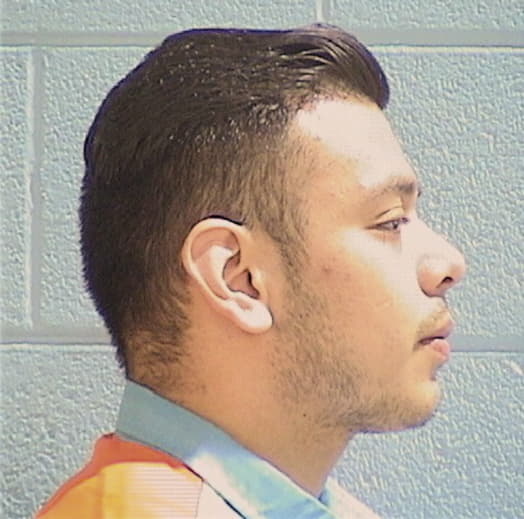 POPOCA, ALEJANDRO, Cook County  IL
