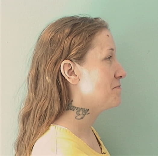 MCINNES, JESSICA L., Bureau County  IL