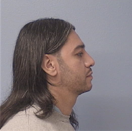 LEON, ANGEL, Cook County  IL