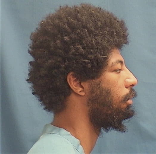 WILLIAMS, MALIK, Cook County  IL
