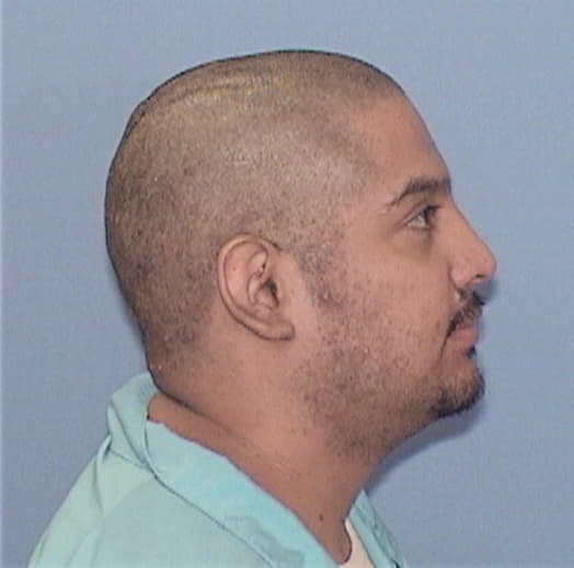 IBARRA, NESTOR A., DuPage County  IL