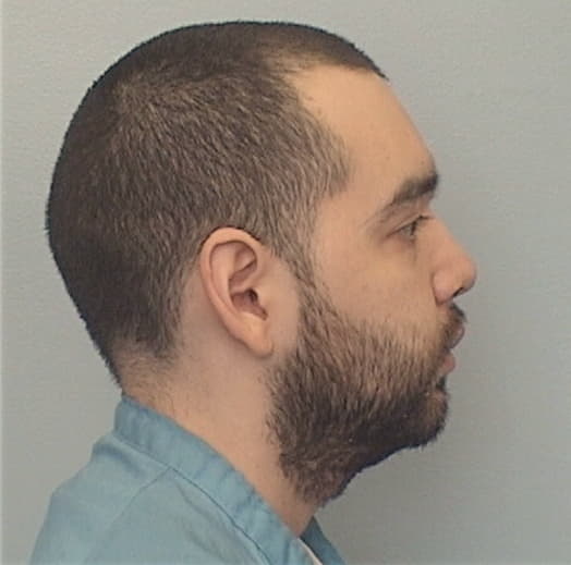 DELEON, JOSHUA, Cook County  IL