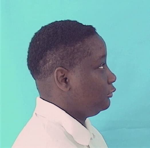 LEGGET, LASHIEFA, Cook County  IL