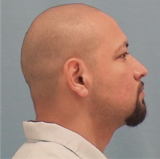 ALVAREZ, GERSON, Cook County  IL