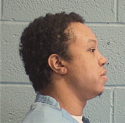 LEWIS, LEMARKEE C., Cook County  IL
