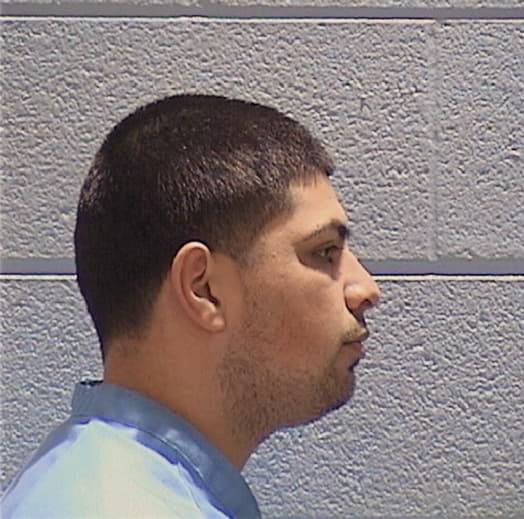GODINEZ, SERGIO, Kane County  IL