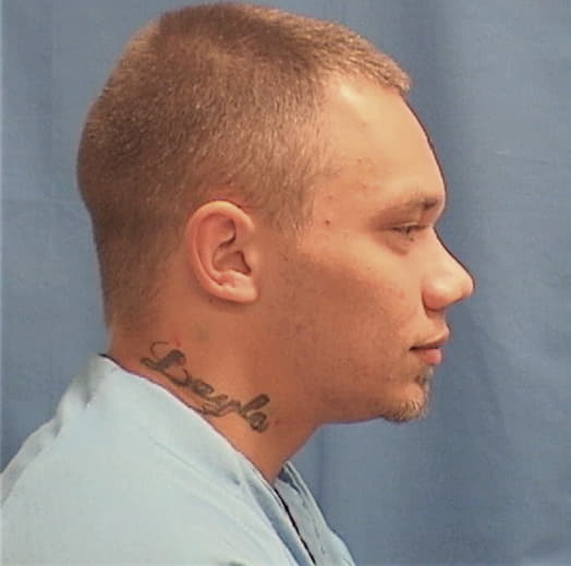 WILSON, RICHARD A., Sangamon County  IL