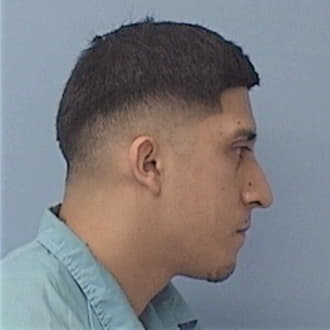 LEDESMA, FABIAN, Cook County  IL