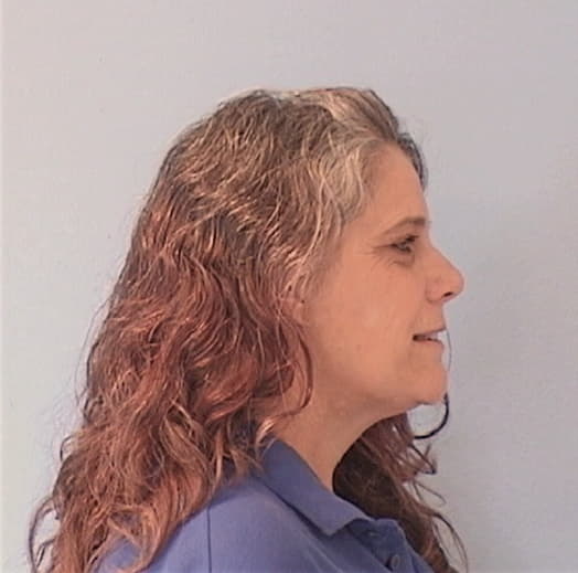 LOWE, MICHELLE R., Tazewell County  IL