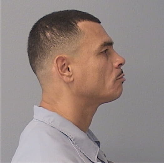 BORRERO, NOEL, Cook County  IL