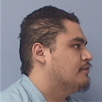 VARGAS, ARMANDO, Cook County  IL