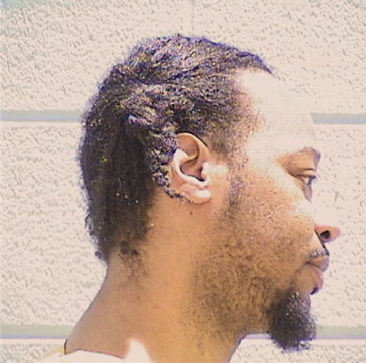 GASTON, MARSHAUN T., Will County  IL