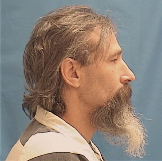 SEYBOLD, JOSEPHUS E., Livingston County  IL
