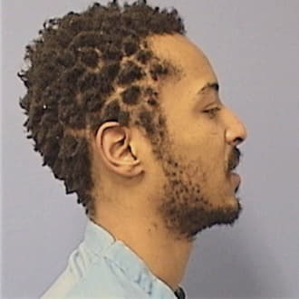 HONORE, ADAMU, Cook County  IL
