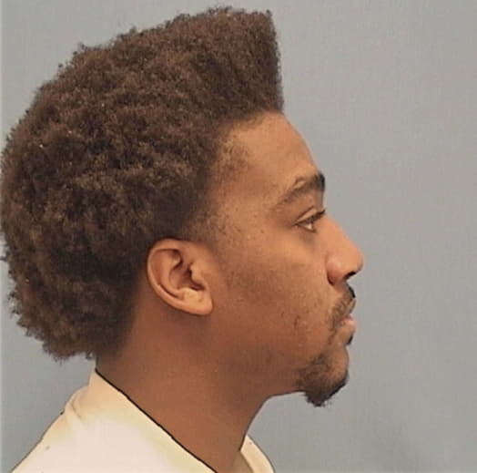 JOHNSON, RYAN J., Lasalle County  IL
