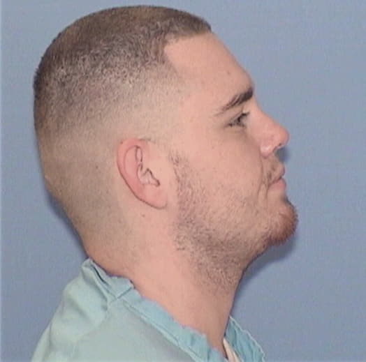 WILSON, BRANDAN W., Macoupin County  IL