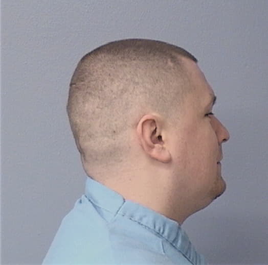 BISHIR, NICHOLAS F., Kankakee County  IL