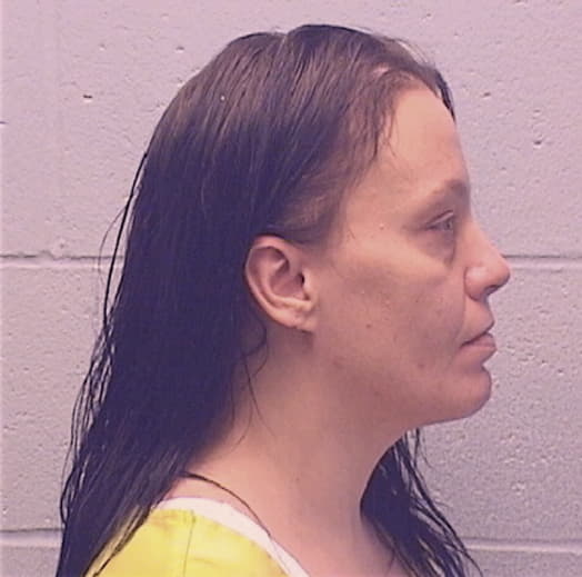 PRESTON, AMBER M., Vermilion County  IL