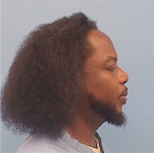 AMOS, REGINALD, Cook County  IL