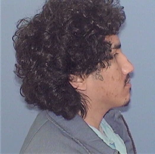 PEREZ, RICARDO, McHenry County  IL