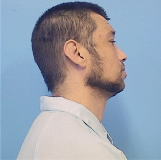 YOUNG, ADAM W., Sangamon County  IL