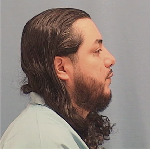 HERNANDEZ, MAURISIO, Cook County  IL