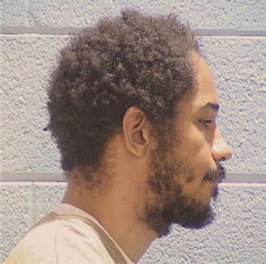 HOLMES, CHARLES, Cook County  IL