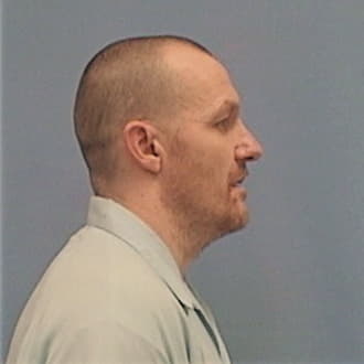 BRIDGEMAN, MICHAEL W., Madison County  IL