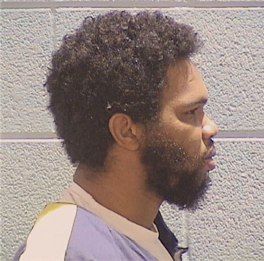 MCDONALD, MICHAEL, Cook County  IL
