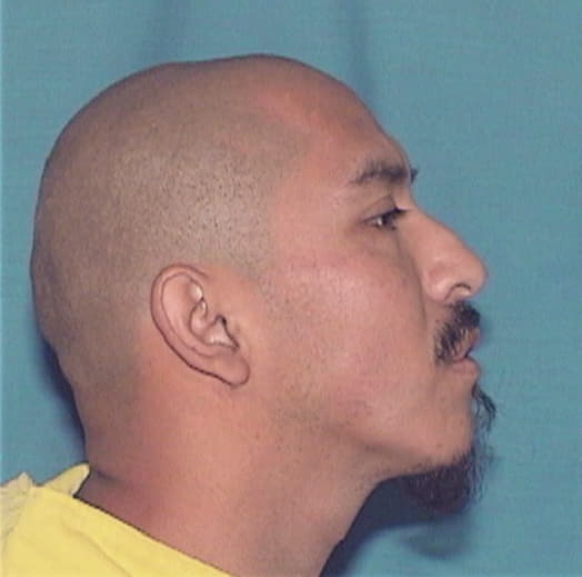 VAZQUEZ-PLANCART, JOSE, Kane County  IL
