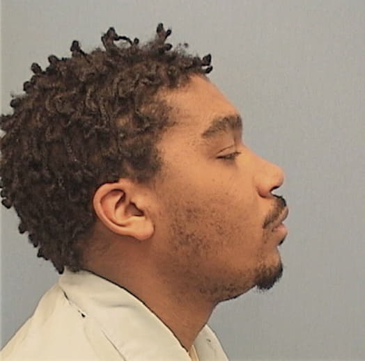 WILLIAMS, ANTHONY JR, Will County  IL