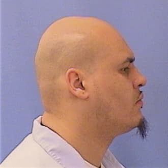 REYES, NICHOLAS, Cook County  IL
