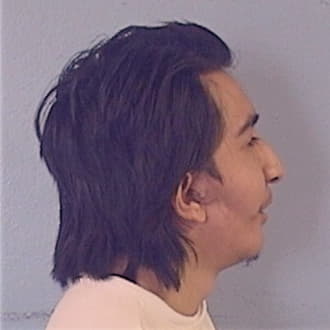 TORRES, GERARDO, Cook County  IL