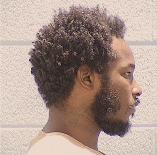 ROGERS, DEVON, Cook County  IL