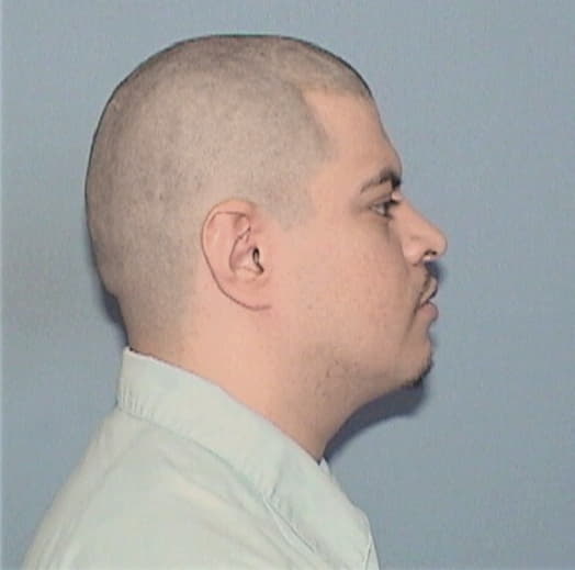 DOMINGUEZ, ROLANDO, Cook County  IL