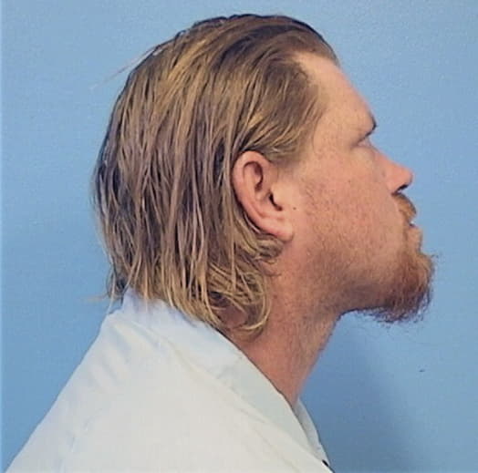 HILLMANN, JAMES G., Jersey County  IL