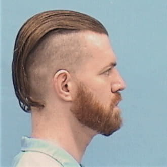 HOLLINGSWORTH, RYAN L., Champaign County  IL