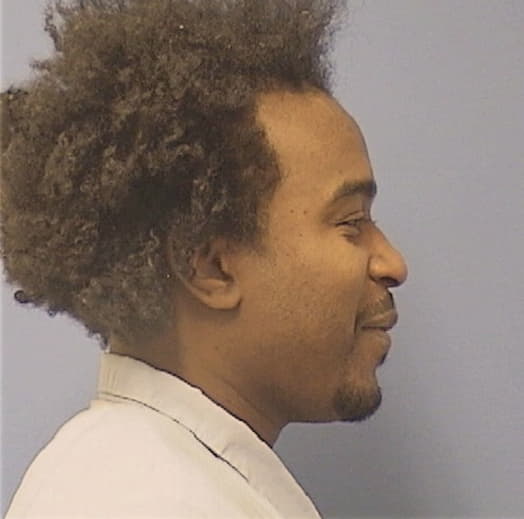 WILLIAMS, OSHAY, Kane County  IL